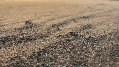 Wind blowing sand Stock Footage 158979752