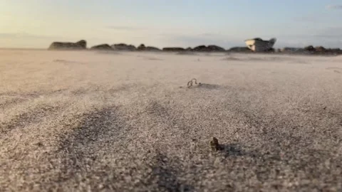 Wind blowing sand Stock Footage 158979900