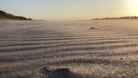 Wind blowing sand Stock Footage 158979991