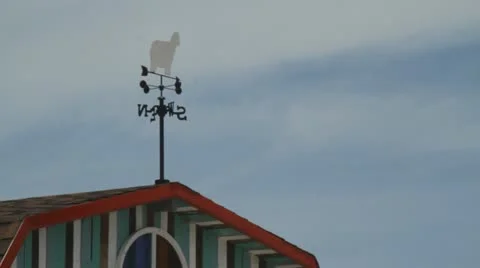 Wind blowing the sheep Wind Vane Stock Footage 11830998
