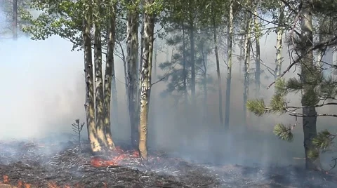 Wind blowing smoke &amp; fire over ground Stock Footage 40751852