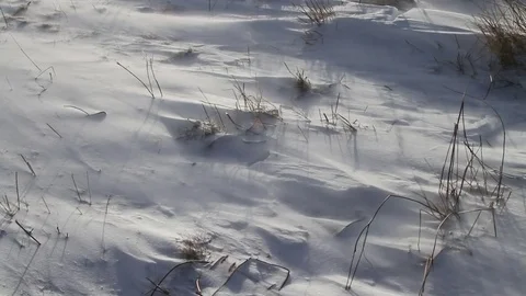 Wind blowing on the snow in the mountains in Abruzzo. Stock Footage 71994972