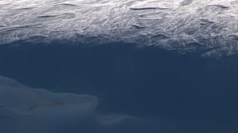 Wind blowing snow over hillside in winter Video stock 11365527