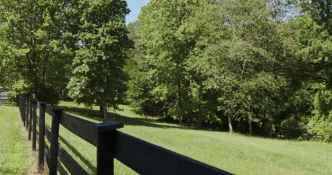 Wind blowing through beautiful green bushy trees Stock Footage 137924223