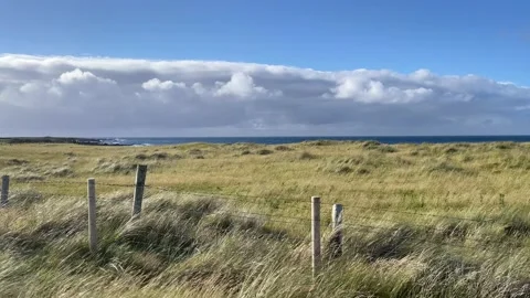 Wind Blowing through Dune Grass 库存影片 230133949