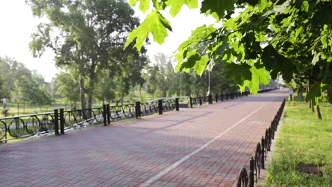 Wind blowing through green leaves in park Stock-Footage 133934133
