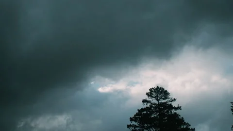 Wind blowing through silhouette of a tree and moving clouds Stock Footage 130262751