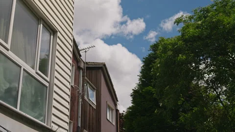 Wind Blowing Through Tree Near London Houses in Suburb Stock-Footage 337563173