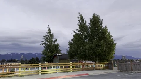 Wind blowing through the trees 스톡 동영상 280108757