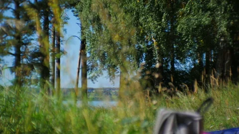 Wind blowing through the trees by the lake on a sunny day. A backpack and Stock Footage 283695051