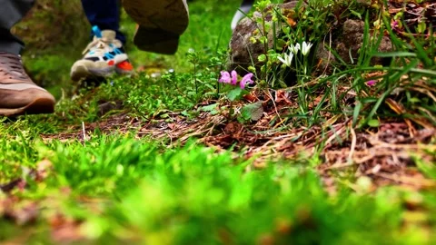 Wind Blowing Through Wildflowers and Green Grass Static Nature Shot 4K Stock Footage 334418792