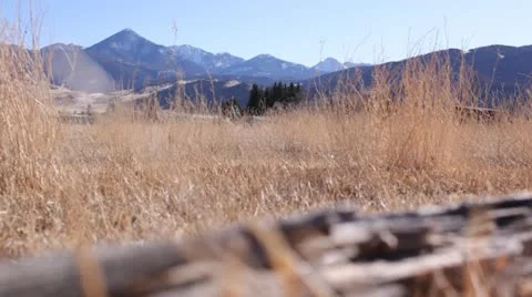 Wind Blowing Through Winter Grass With Mountains in Background Stock Footage 21257427