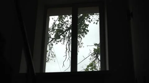 Wind is blowing tree branches outside the window in cloudy weather Stock Footage 337998706