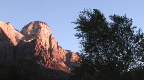 Wind Blowing Tree in Zion Video stock 530674