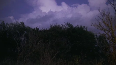 Wind blowing trees against sky at night Stock Footage 71566201