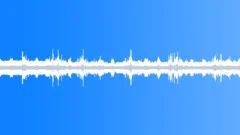 Wind blowing in trees, with birds and other insects, loopable Sound Effect