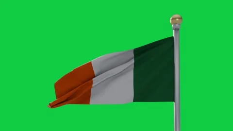 Wind blowing tricolor flag fluttering, waves forming and showing texture on 库存影片 337945516