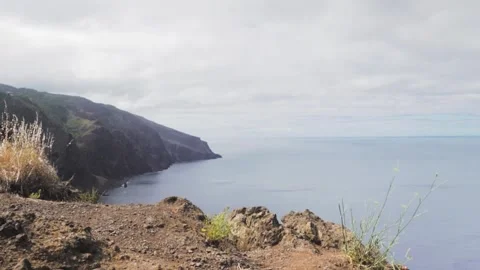 Wind blowing on wild grasses on a cliff overlooking the ocean Stock-Footage 293158718