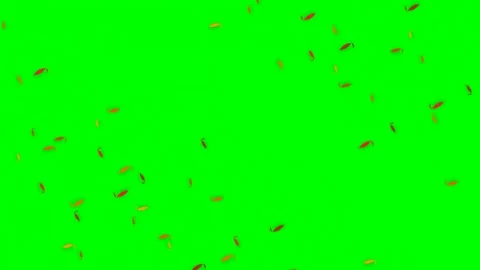 Wind blown falling orange autumn leaves on green screen Vídeo Stock 344371568