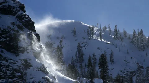 Wind blown 動画素材 3175298