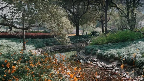 Wind blown forests, streams, wildflowers, and green grass Stock Footage 319434600