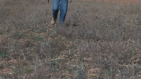 Wind blown grassy field as work-booted legs approach the camera, 4K. Stock Footage 101667213