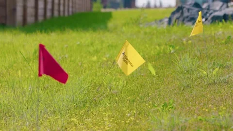 Wind Blown Manitoba Hydro Utility Flags in Residential Lawn Stock Footage 344021031