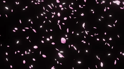 Wind Blown Petals Drifting Horizontally Overlay 스톡 동영상 326195027