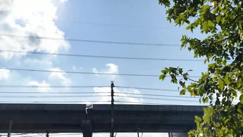 Wind blown Tree, Construction Highway And Electric Pole Stock Footage 273658660