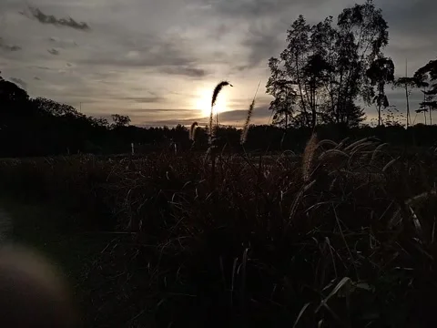 The wind blows in the afternoon before the sun sets on the western horizon Stock Footage 220414824