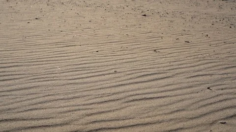 Wind blows away sand grains in the desert 스톡 동영상 103151121