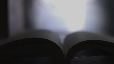 Wind blows, a book Stock Footage 154790049