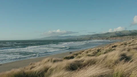 Wind blows coastal grass along a scenic California beach coastline Видео 344628451