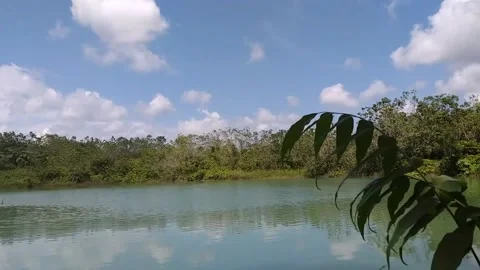 The wind blows on the edge of a former coal mine lake with a beautiful blue sky Stock Footage 213459696