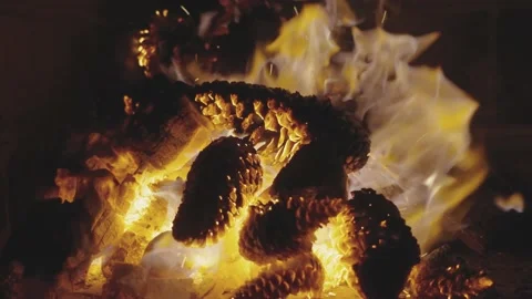 Wind blows to fan the fire of the campfire Видео 231358388