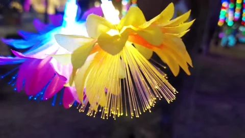 Wind blows flowers decorated with orange lights Stockbeeldmateriaal 260522220