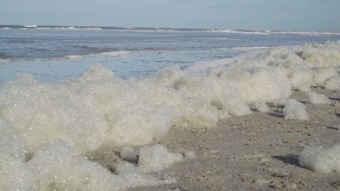 Wind blows foam of algae protein over the beach Stock Footage 97082409