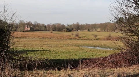 Wind Blows Foliage - Beautiful Rural Marshland - Countryside House in Distance Stock-Footage 48987793