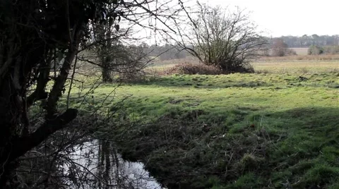 Wind Blows Foliage - Stream Flows Through Beautiful Rural Marshland Video stock 48987810