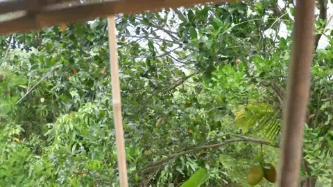 The wind blows Vídeos de archivo 205474301