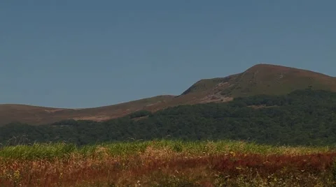 The wind blows the grass on a background of mountains Stock Footage 68818741