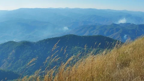 Wind blows the grass on the mountain Stock Footage 104196268