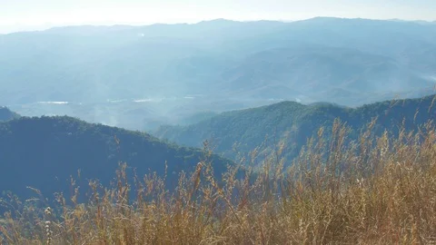 Wind blows the grass on the mountain Stock Footage 104196286