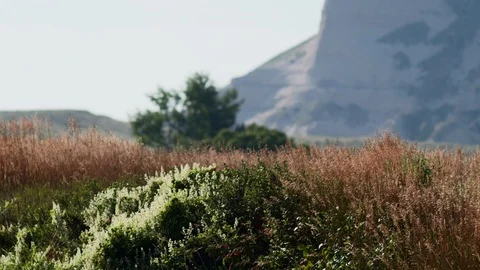 Wind blows lighly over colorful grasslands and bluffs Stock Footage 86540045