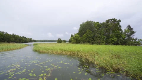 Wind Blows Marsh Grass on Birka Island Stock Footage 147885182