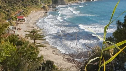  wind blows over the bay shaking the vegetation and waving the sea 4244 Stock Footage 107399015