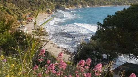 Wind blows over the bay shaking the vegetation and waving the sea 4249 Stock Footage 107399211