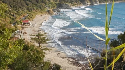 Wind blows over the bay shaking the vegetation and waving the sea 4246 Stock Footage 107399273