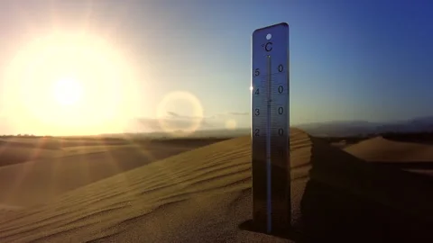The wind blows over a dune crest where a thermometer is stuck. Stock Footage 264800773