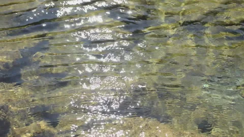 Wind blows over the pond Stock Footage 146949574